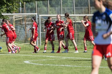 Bild 250 - wBJ HSV Leistungsvergleich